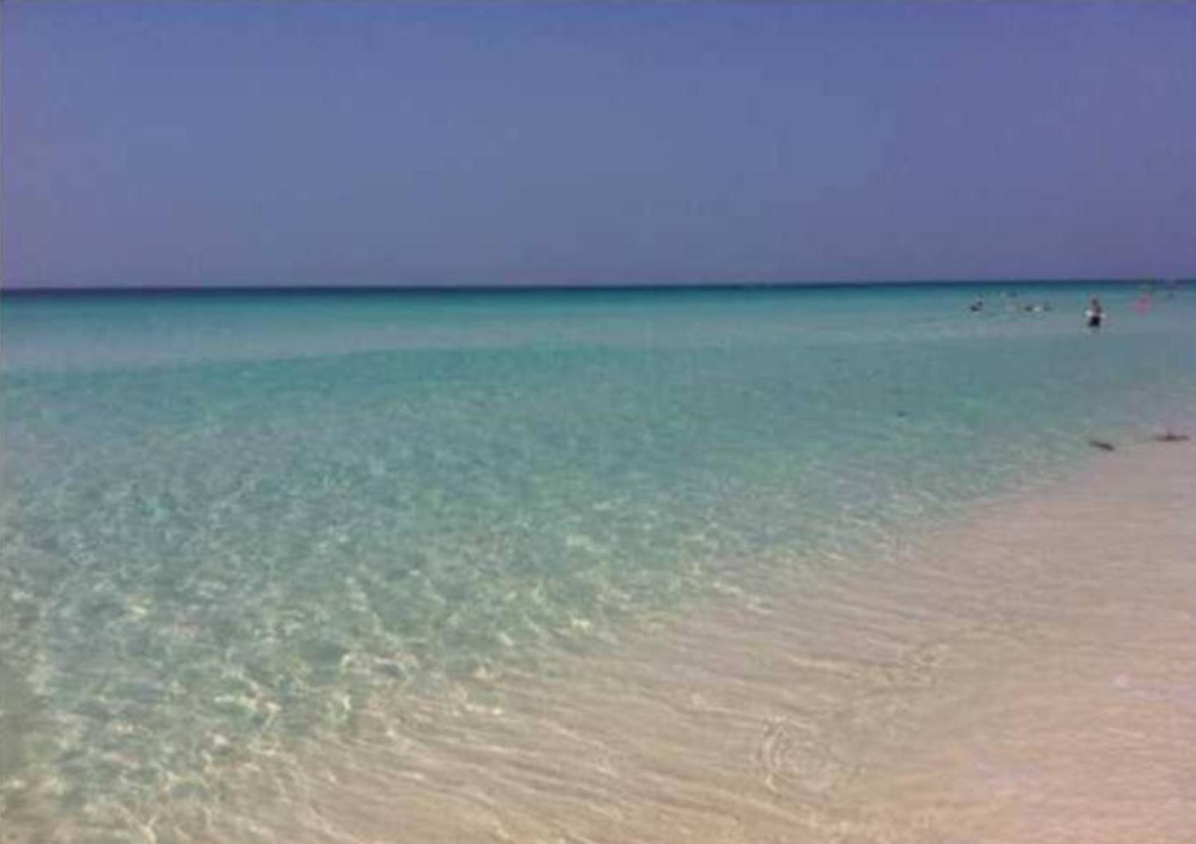 Say Yes To Spring! 4Br Home W Private Pool 2 Min To Destin Beaches Luaran gambar